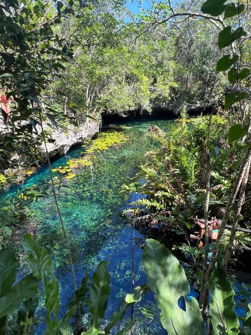 Turquoise open-air cenote surrounded by jungle canopy near Tulum