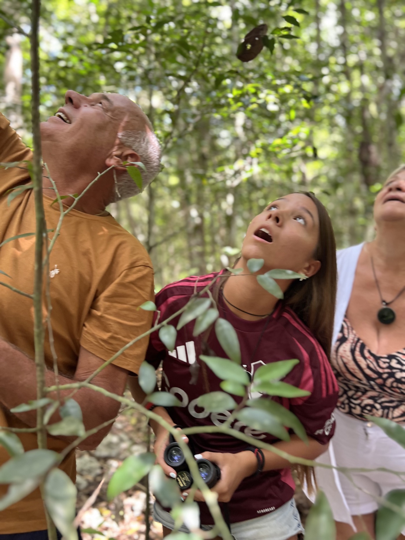 Family birdwatching together in the jungle near Tulum