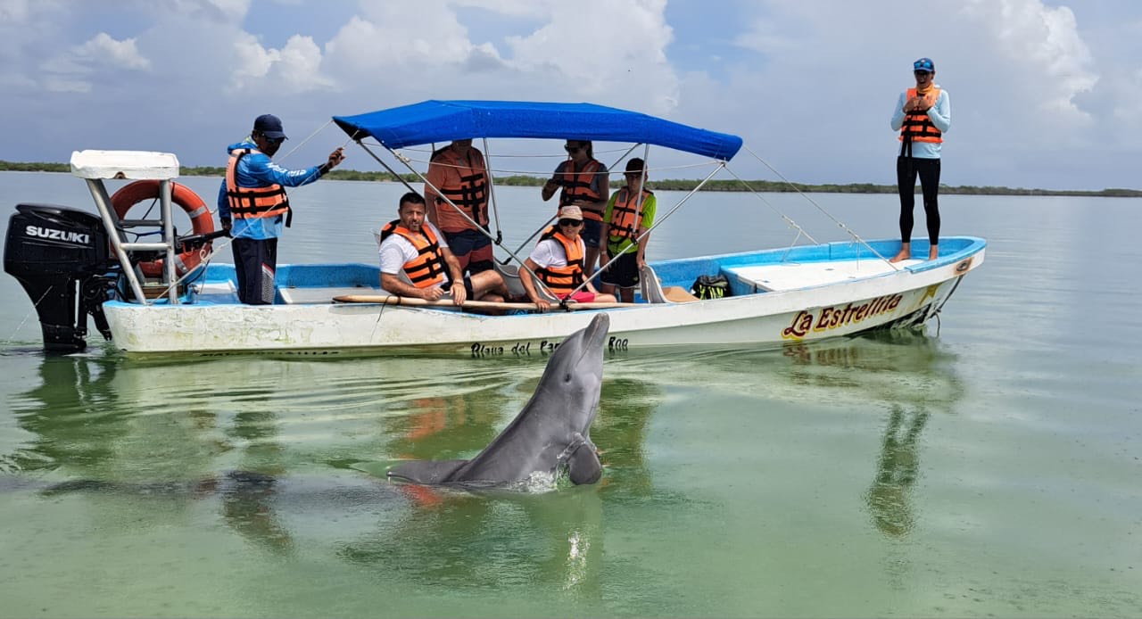 Wild dolphin surfacing next to the tour boat near Tulum